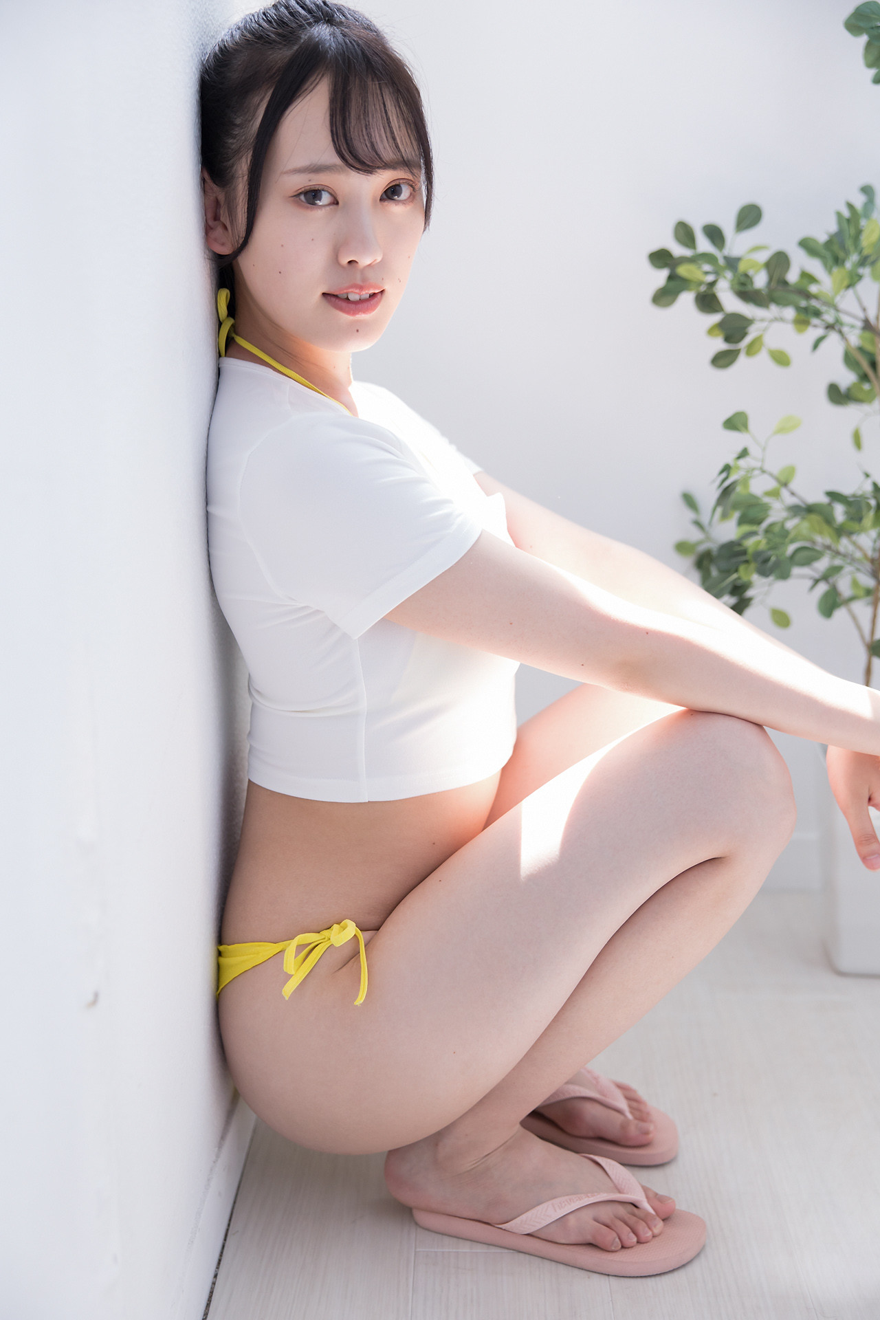 Sarina Kashiwagi 柏木さりな, [Minisuka.tv] 2022.11.17 Regular Gallery 10.4