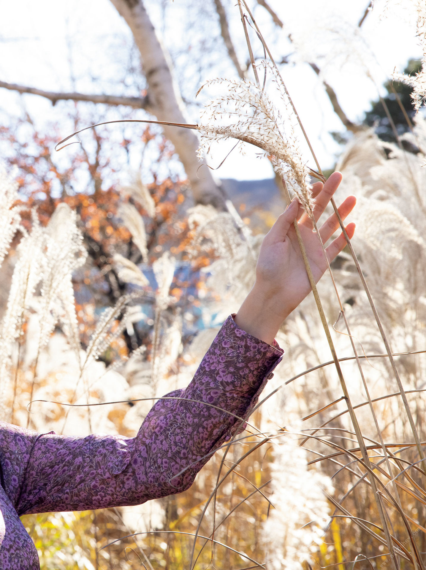 Miho Machiyama 街山みほ, デジタル写真集 「Ｓｃａｒｌｅｔ」 Set.06