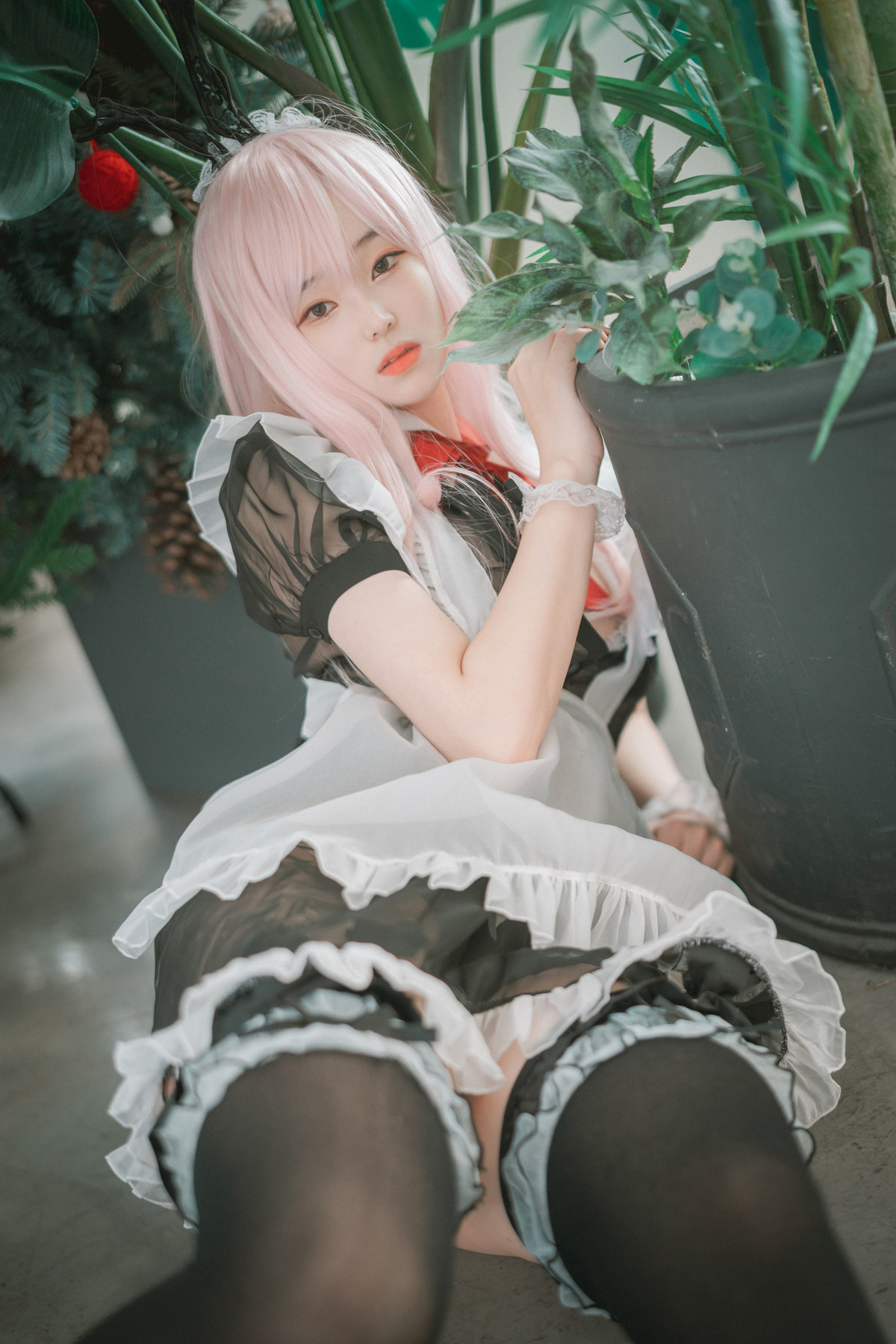 Bambi 밤비, [DJAWA] Sheer Bunny Maid