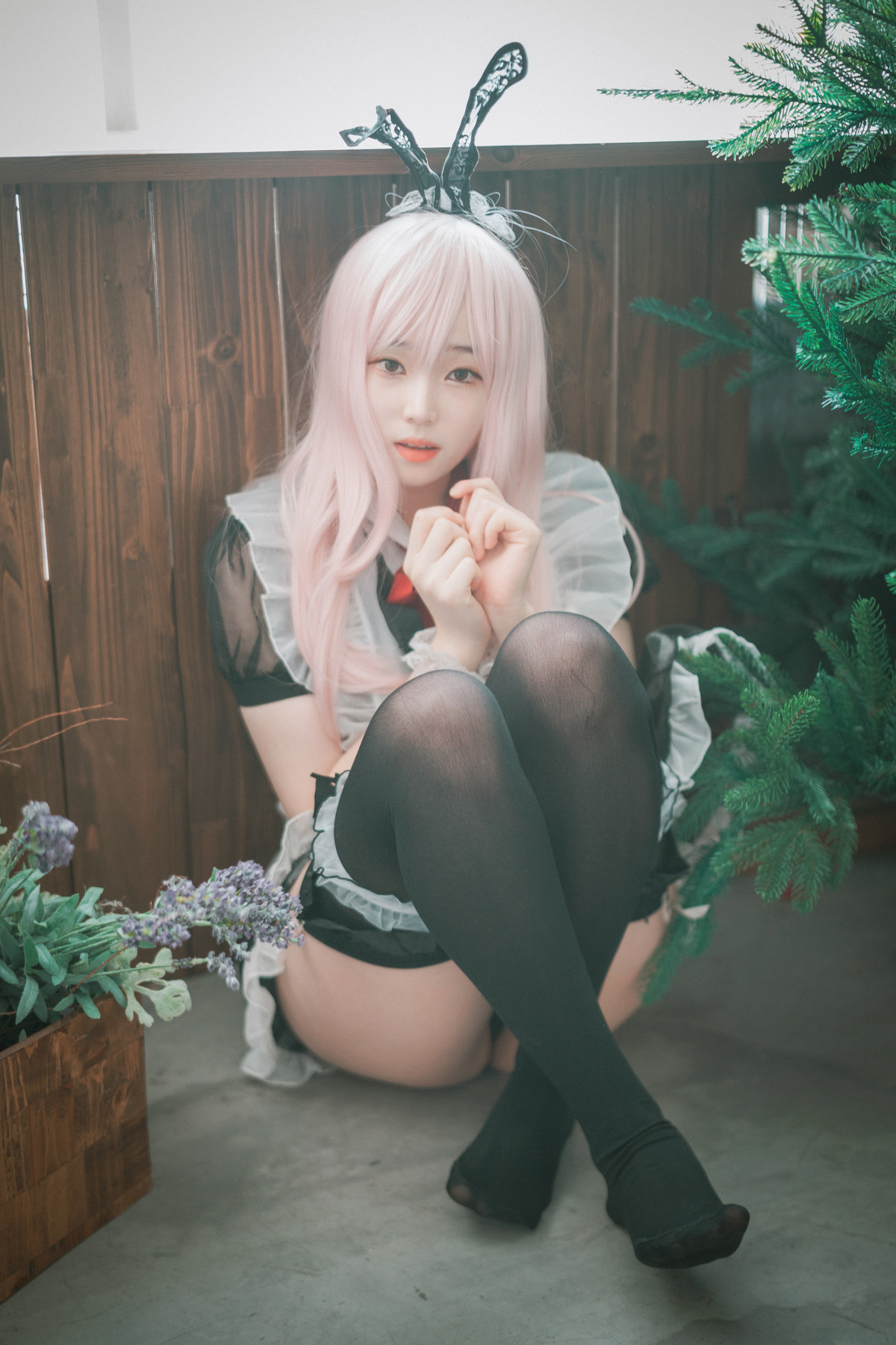 Bambi 밤비, [DJAWA] Sheer Bunny Maid