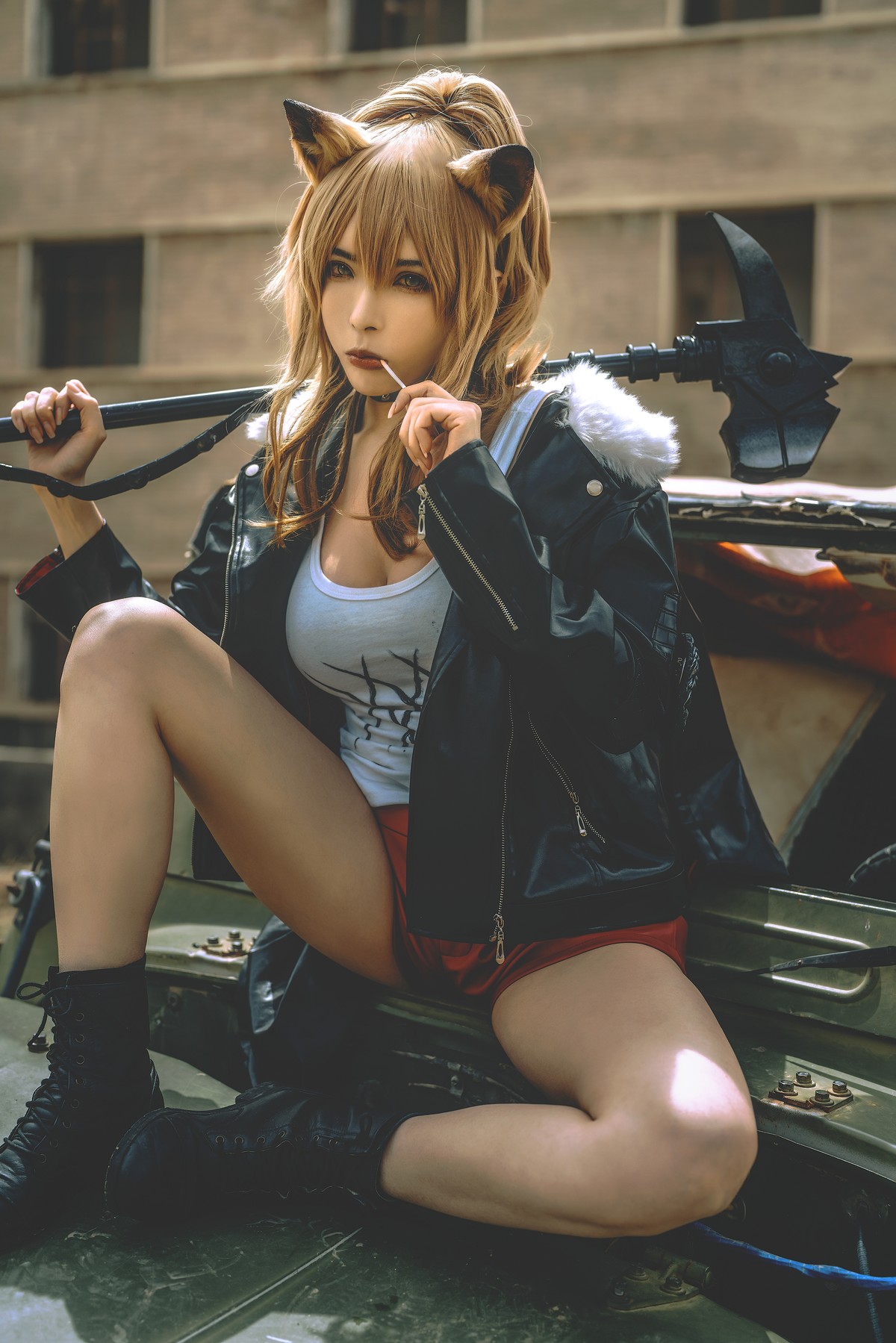 秋和柯基 Cosplay 推进之王