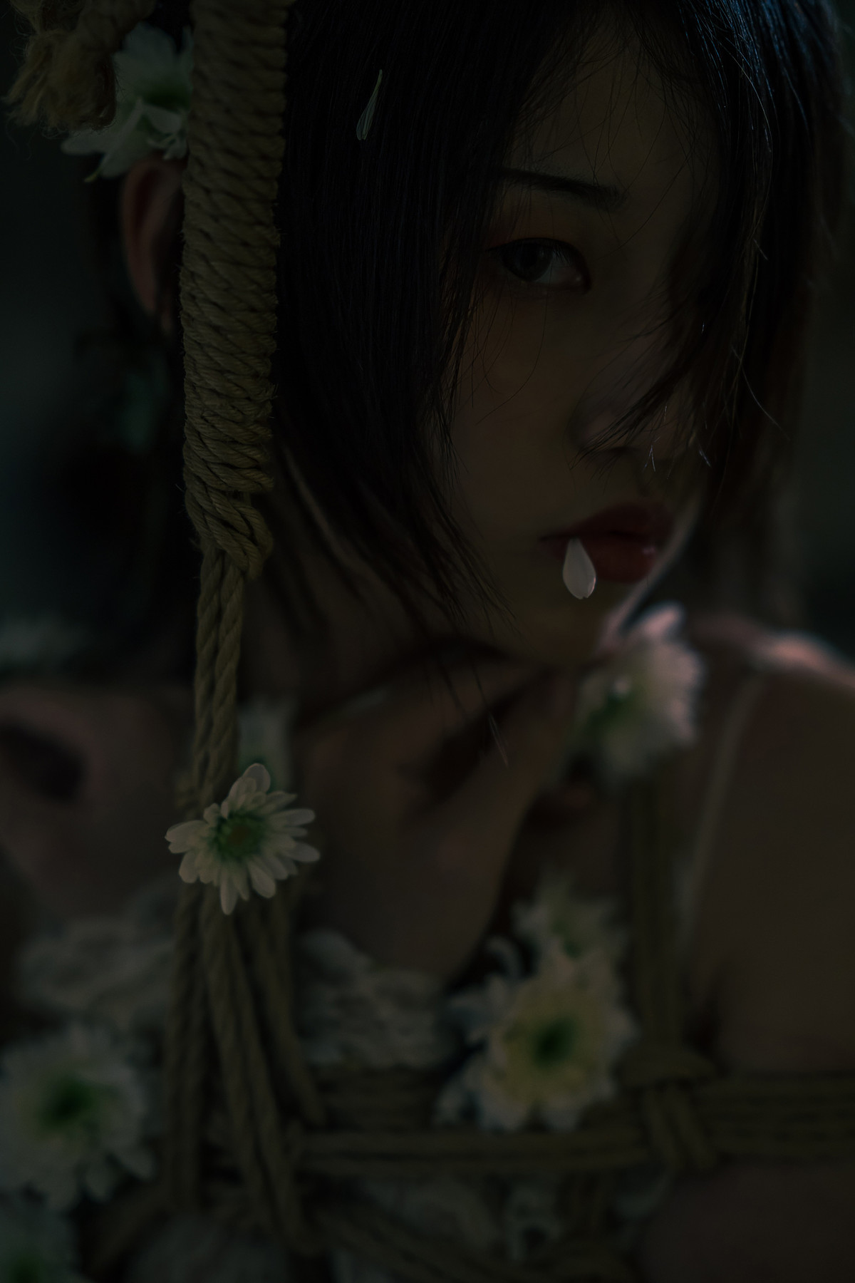 云溪溪 Cosplay 花与绳 Flower and Rope