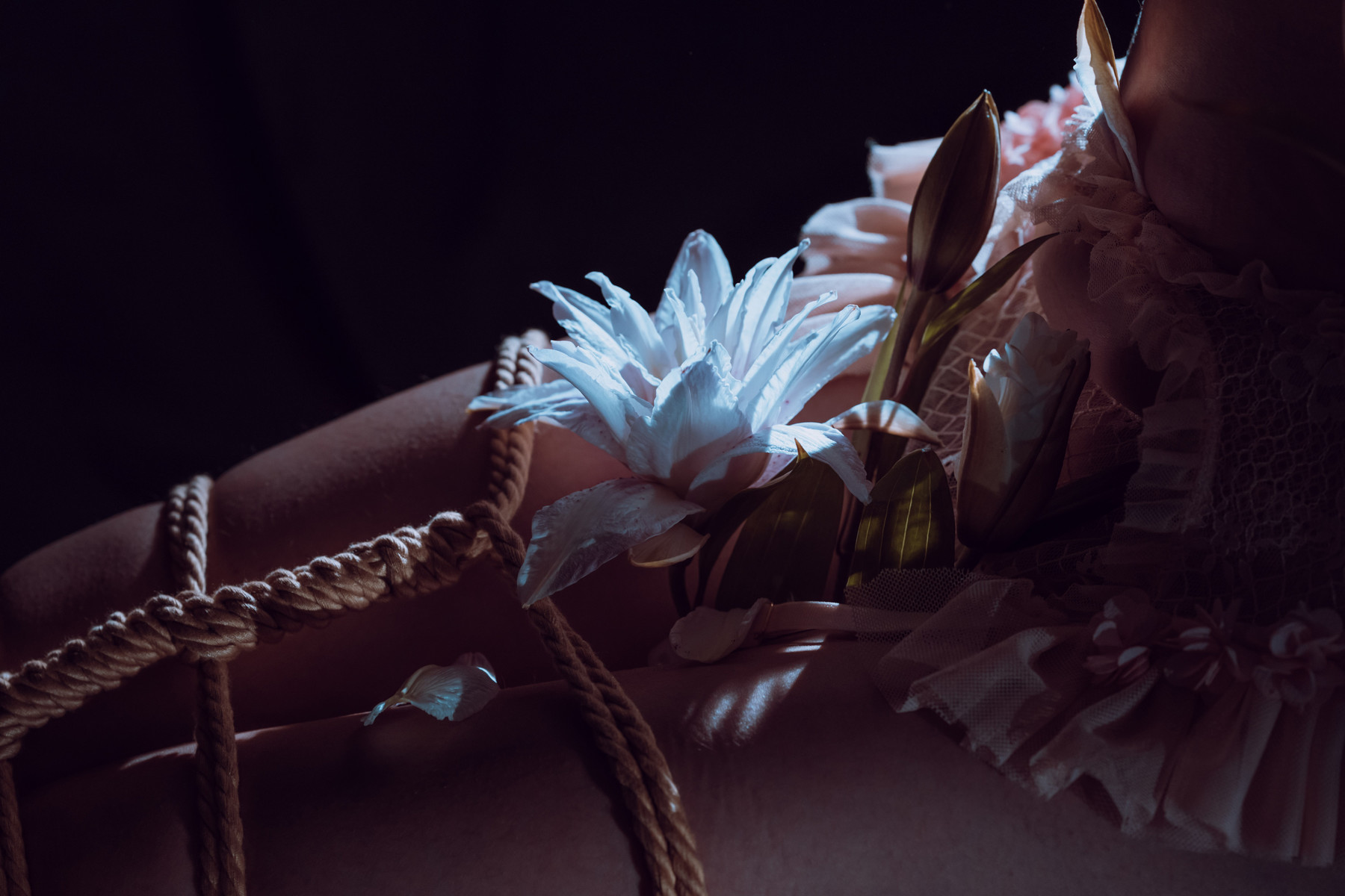 云溪溪 Cosplay 花与绳 Flower and Rope