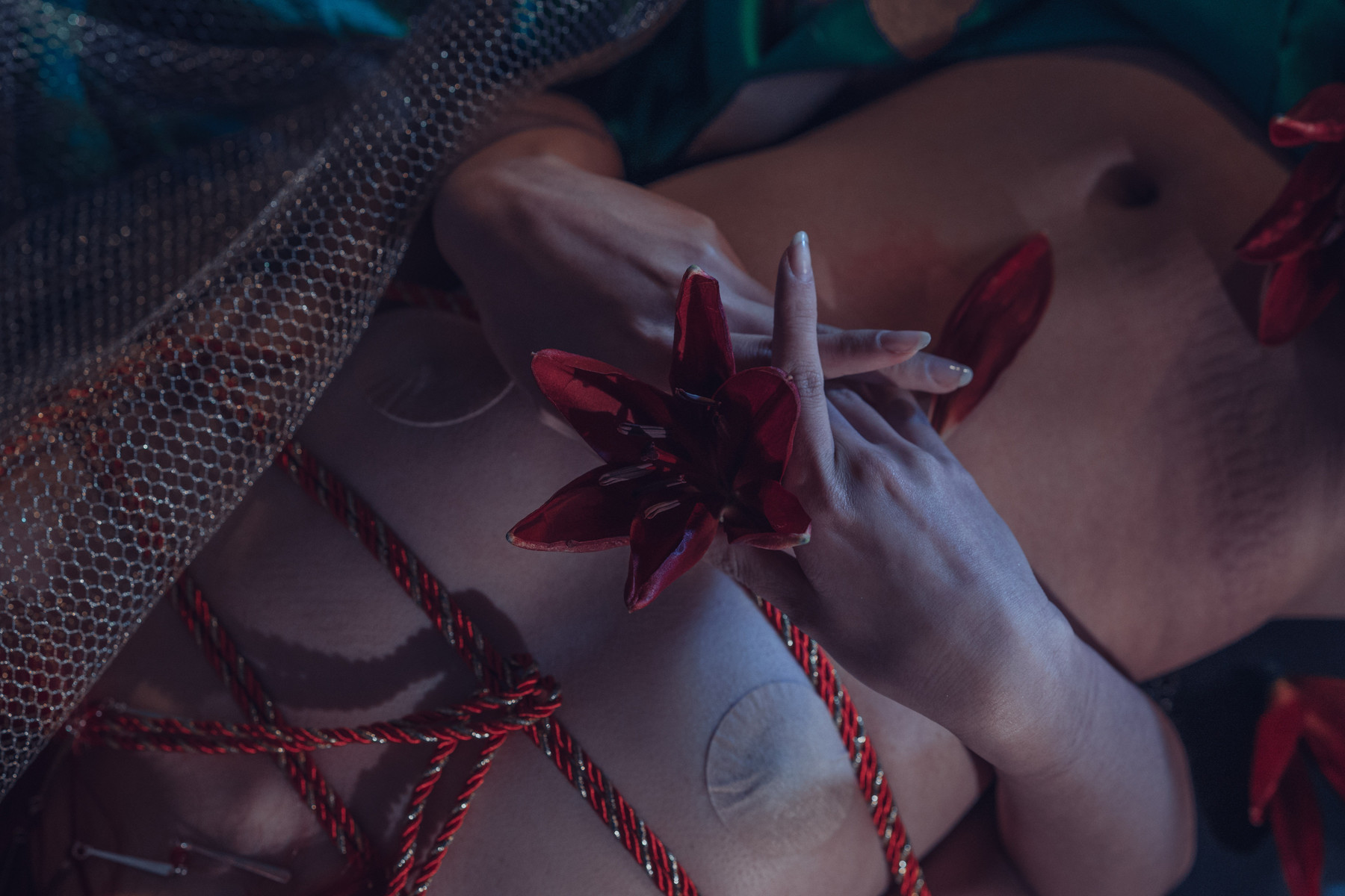 云溪溪 Cosplay 花与绳 Flower and Rope