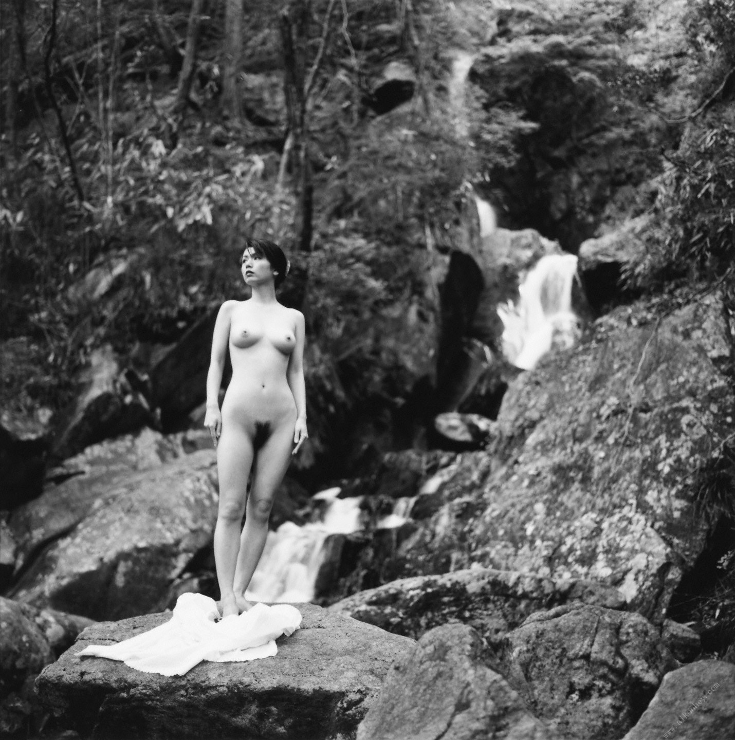 Kanako Kojima 小島可奈子, SHINOYAMA.NET シノヤマネットSBOOK