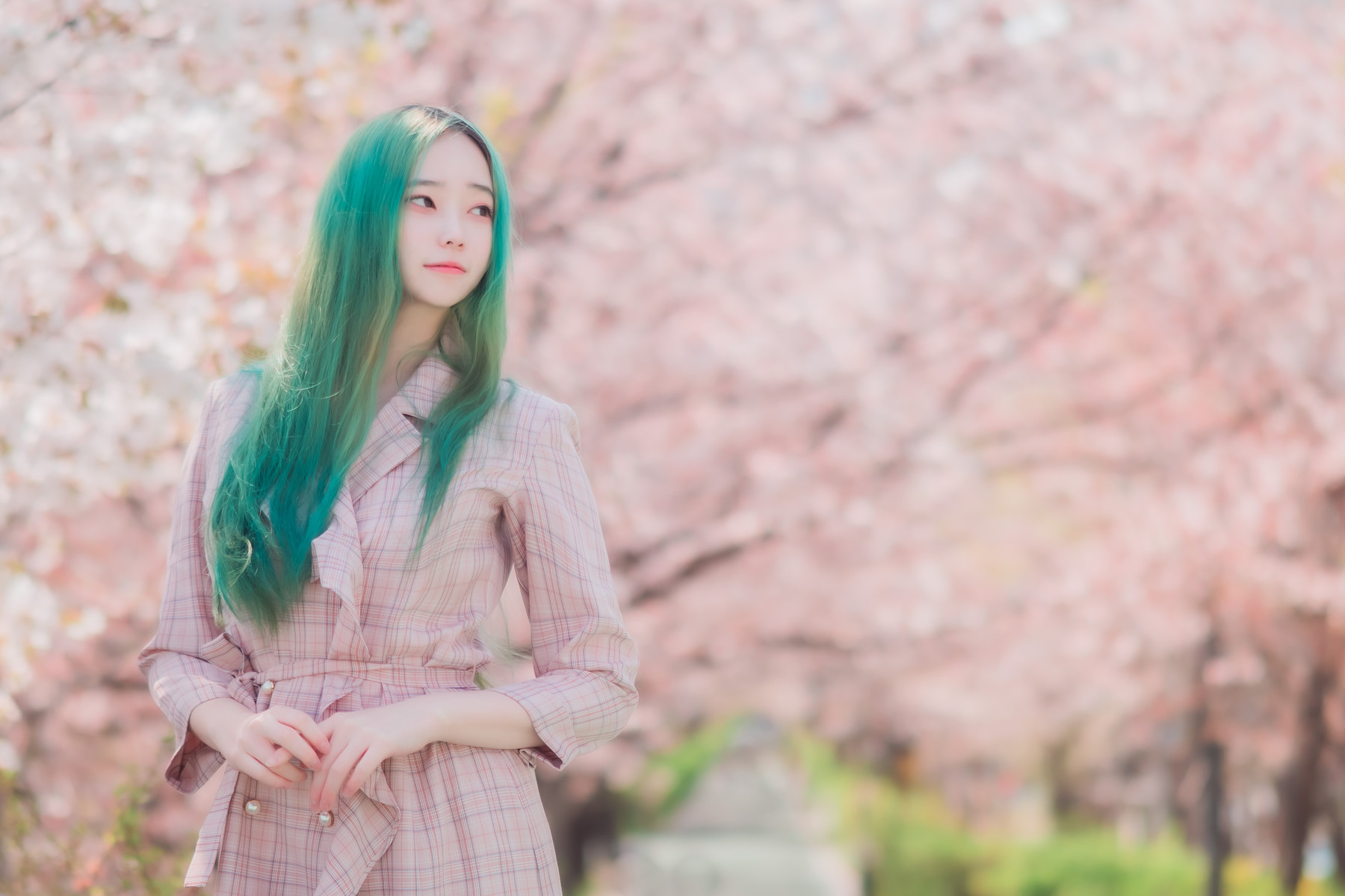Bambi 밤비, [BLUECAKE] DREAMLIKE