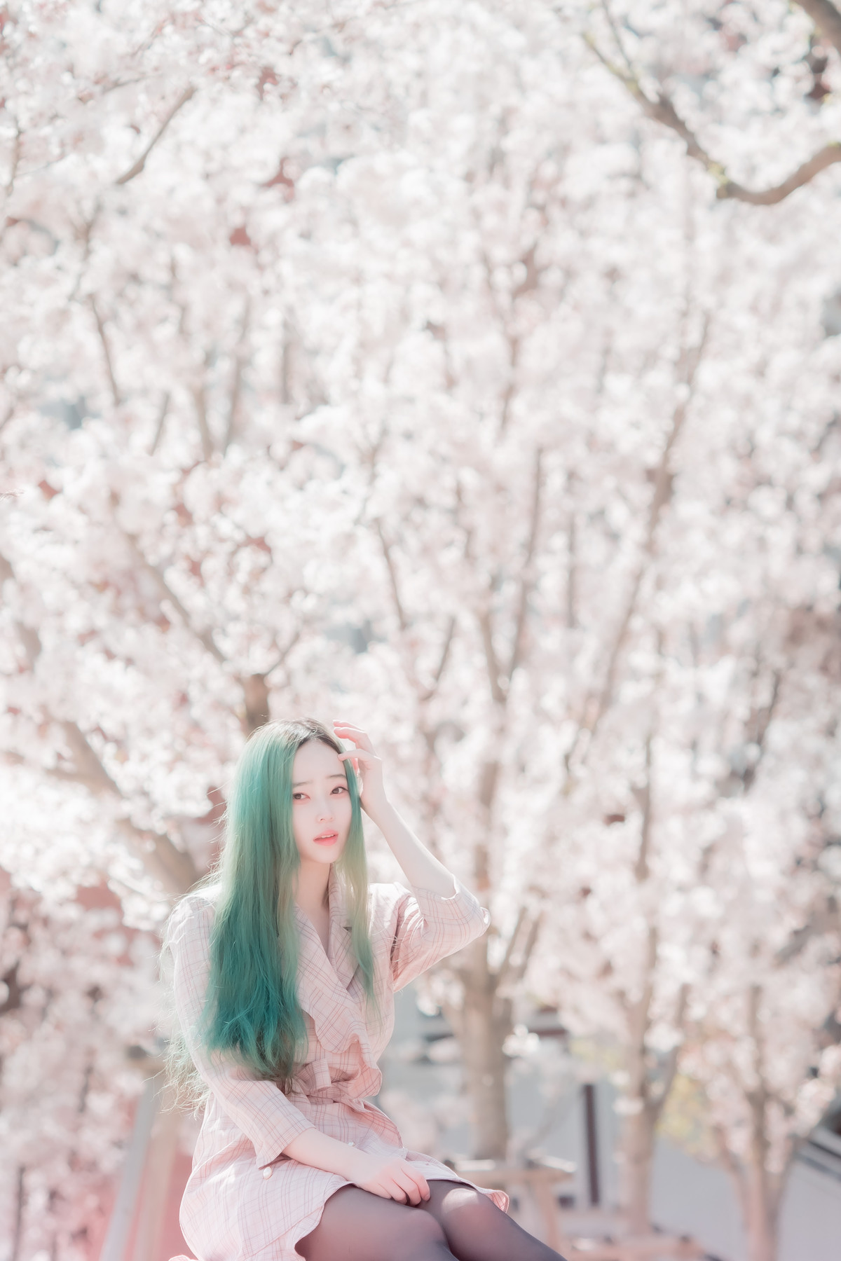 Bambi 밤비, [BLUECAKE] DREAMLIKE