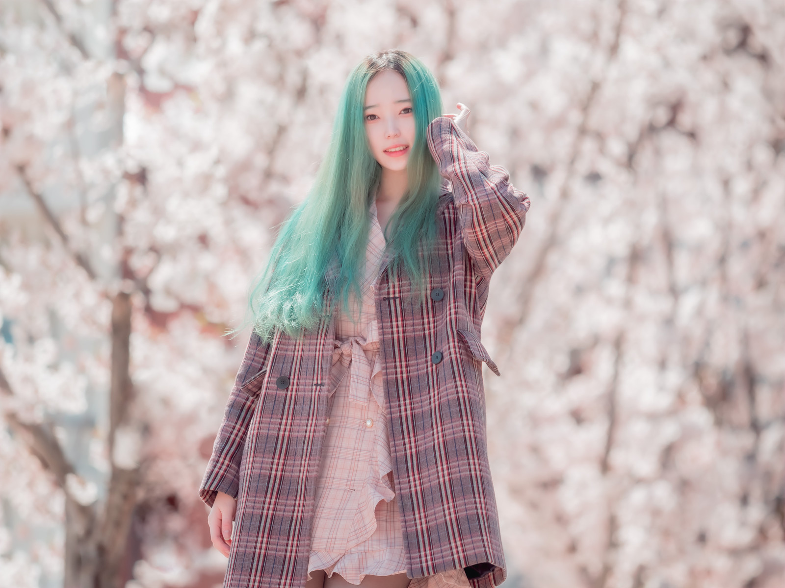 Bambi 밤비, [BLUECAKE] DREAMLIKE