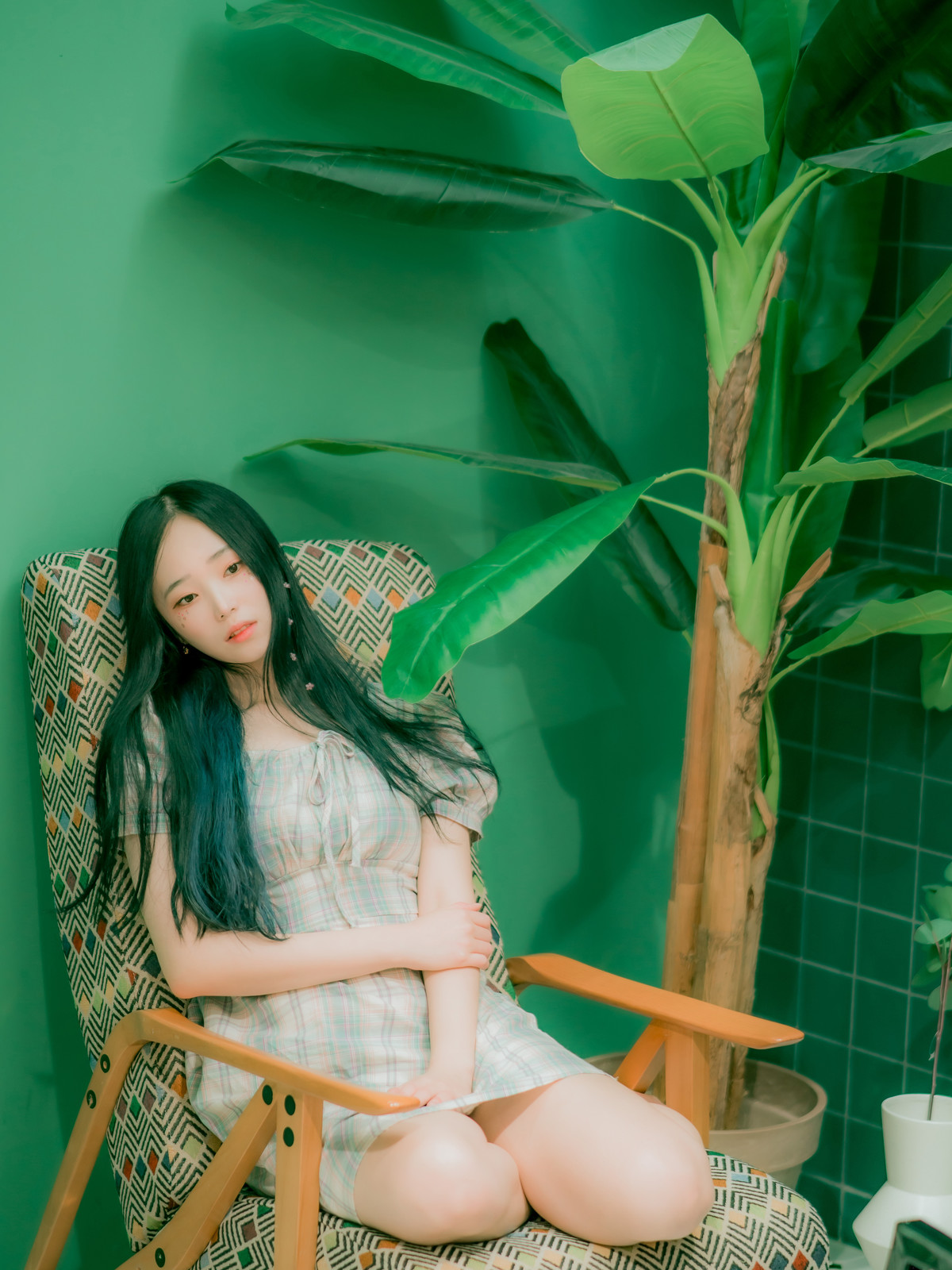 Bambi 밤비, [BLUECAKE] DREAMLIKE