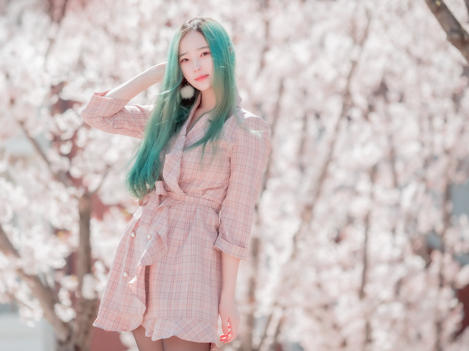 Bambi 밤비, [BLUECAKE] DREAMLIKE