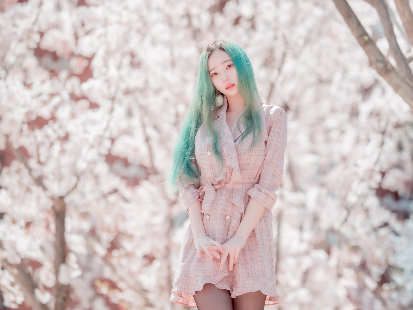 Bambi 밤비, [BLUECAKE] DREAMLIKE