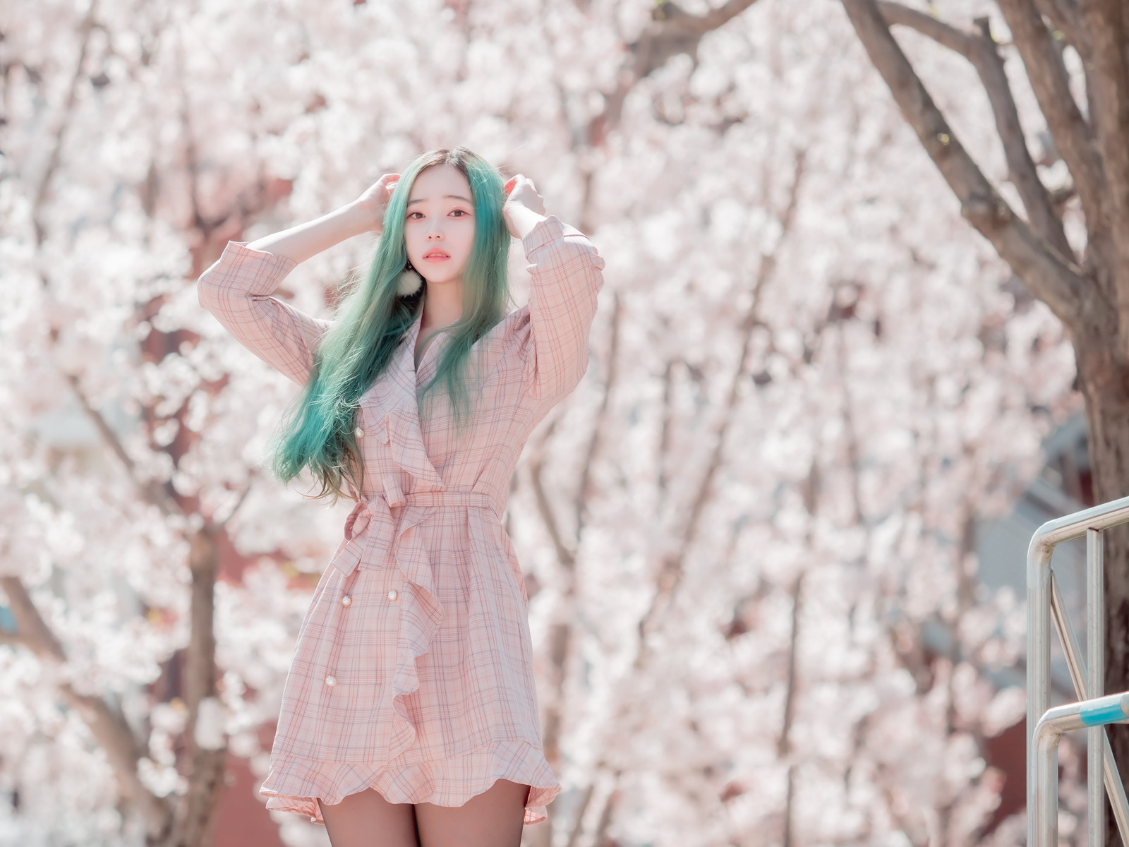 Bambi 밤비, [BLUECAKE] DREAMLIKE