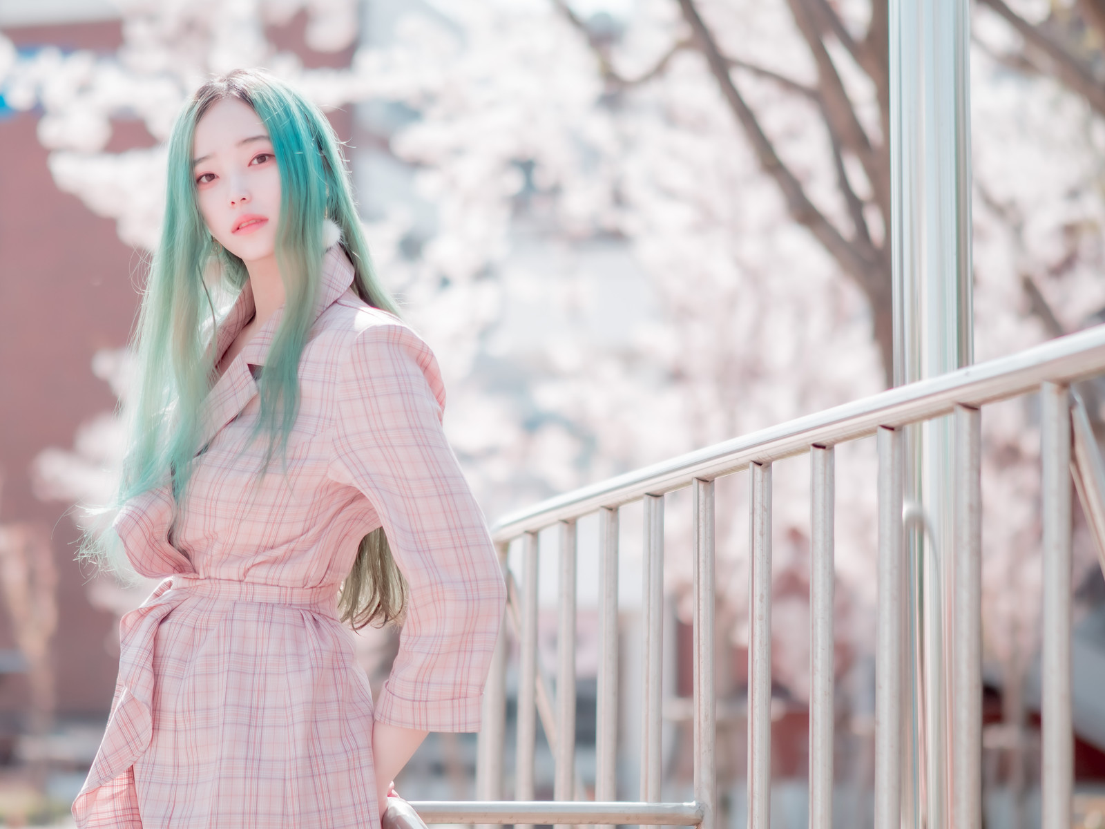 Bambi 밤비, [BLUECAKE] DREAMLIKE