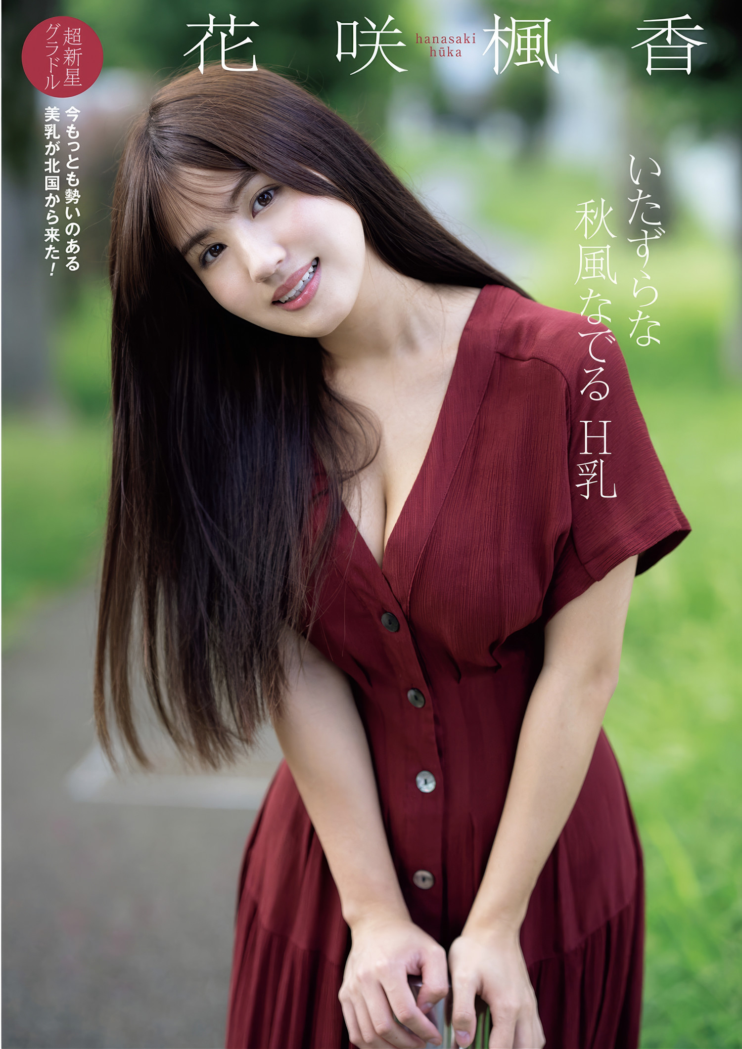 すみぽん 藤渡小百合 百瀬心美 花咲楓香, 週刊ポスト GOLD グラビア傑作選 2025春号