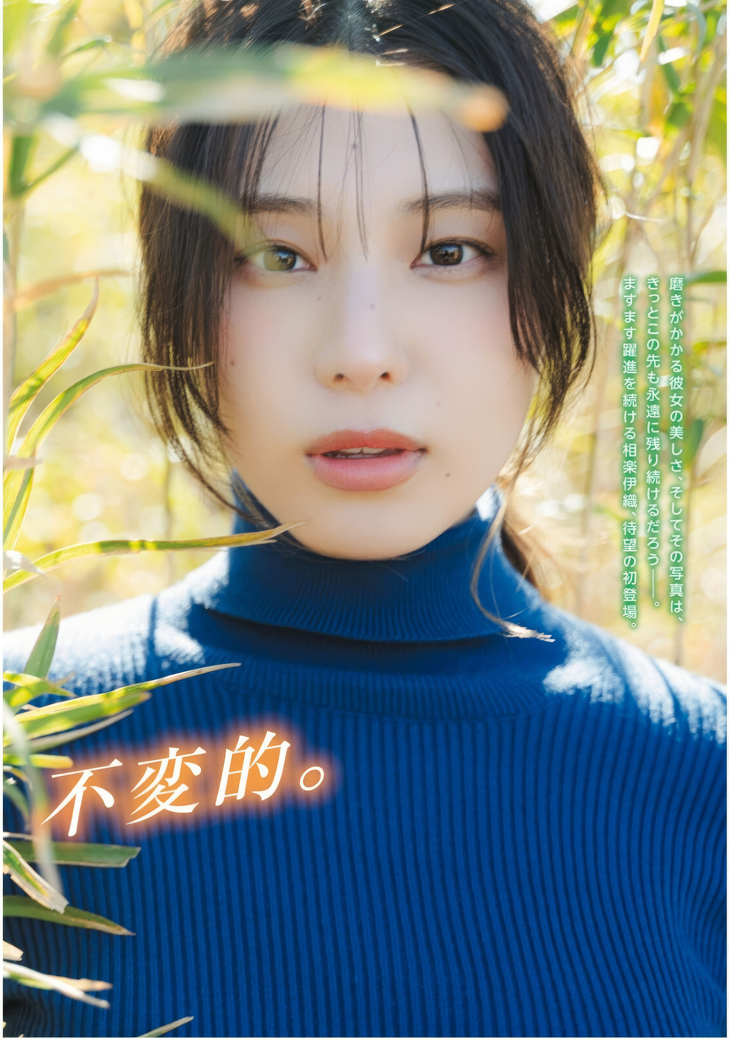 Iori Sagara 相楽伊織, ドラゴンエイジ2025年5月号増刊 ヤングドラゴンエイジ VOL.28