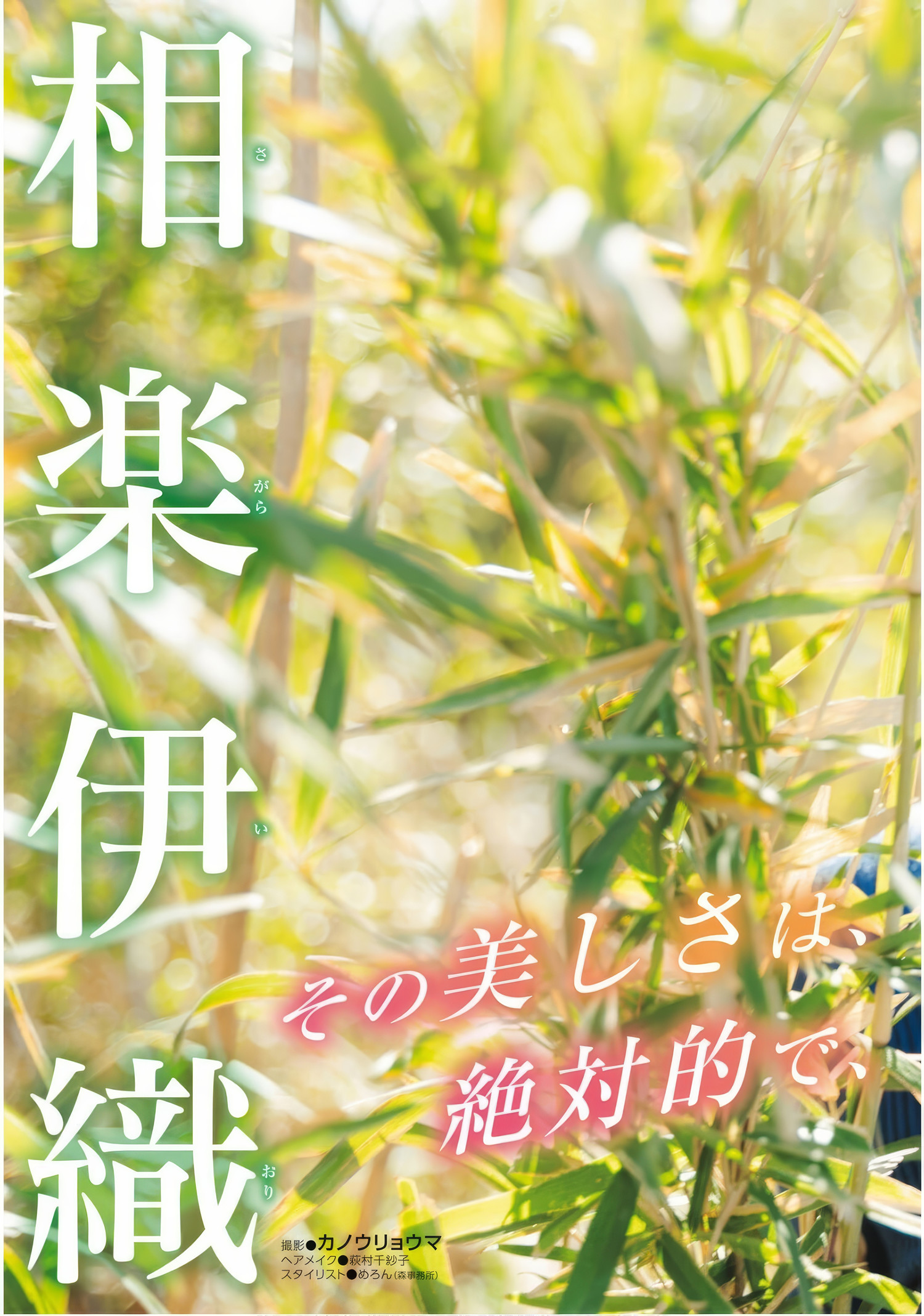 Iori Sagara 相楽伊織, ドラゴンエイジ2025年5月号増刊 ヤングドラゴンエイジ VOL.28