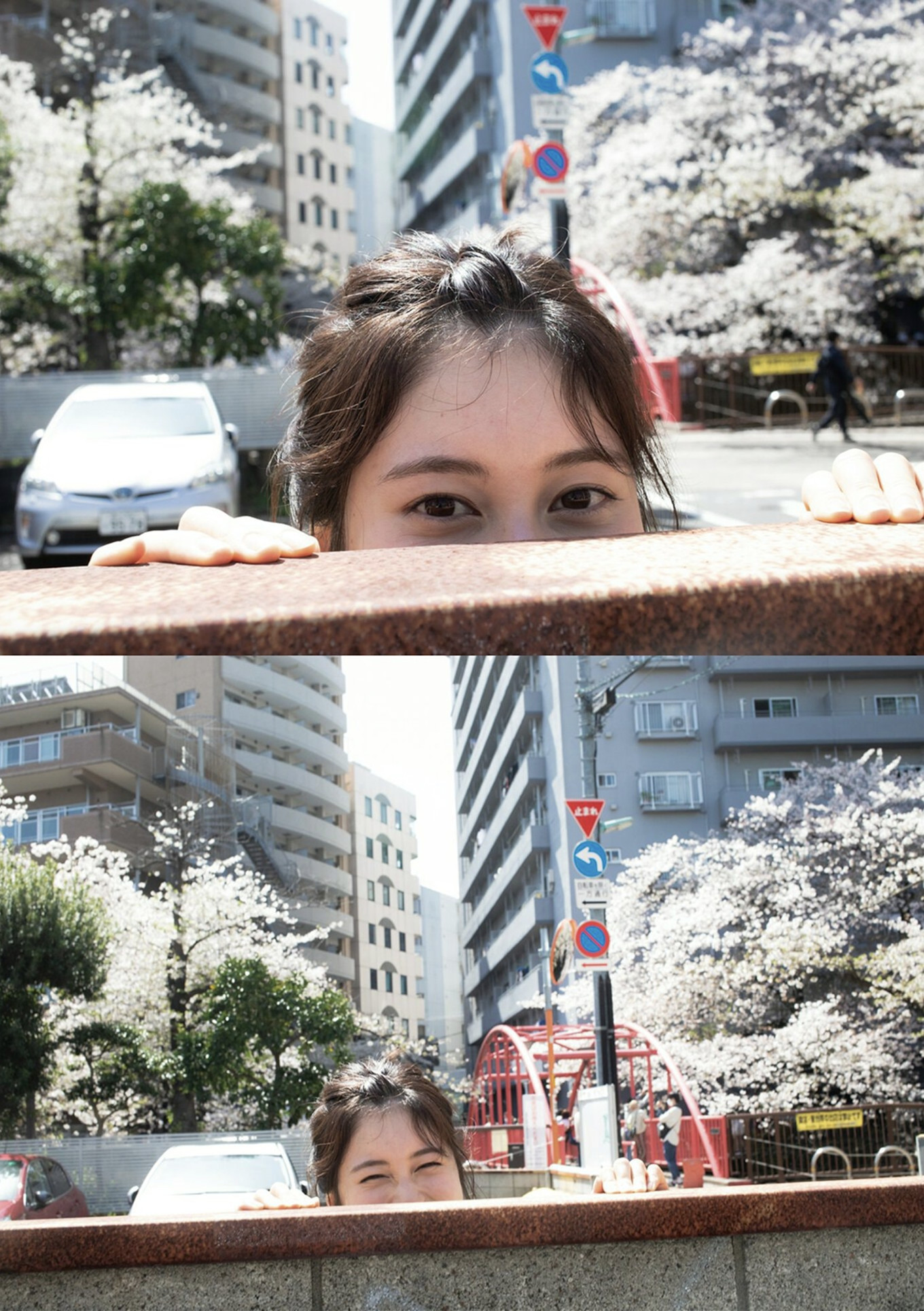 Sakurako Okubo 大久保桜子, BRODYデジタル写真集 「RISING SUN」