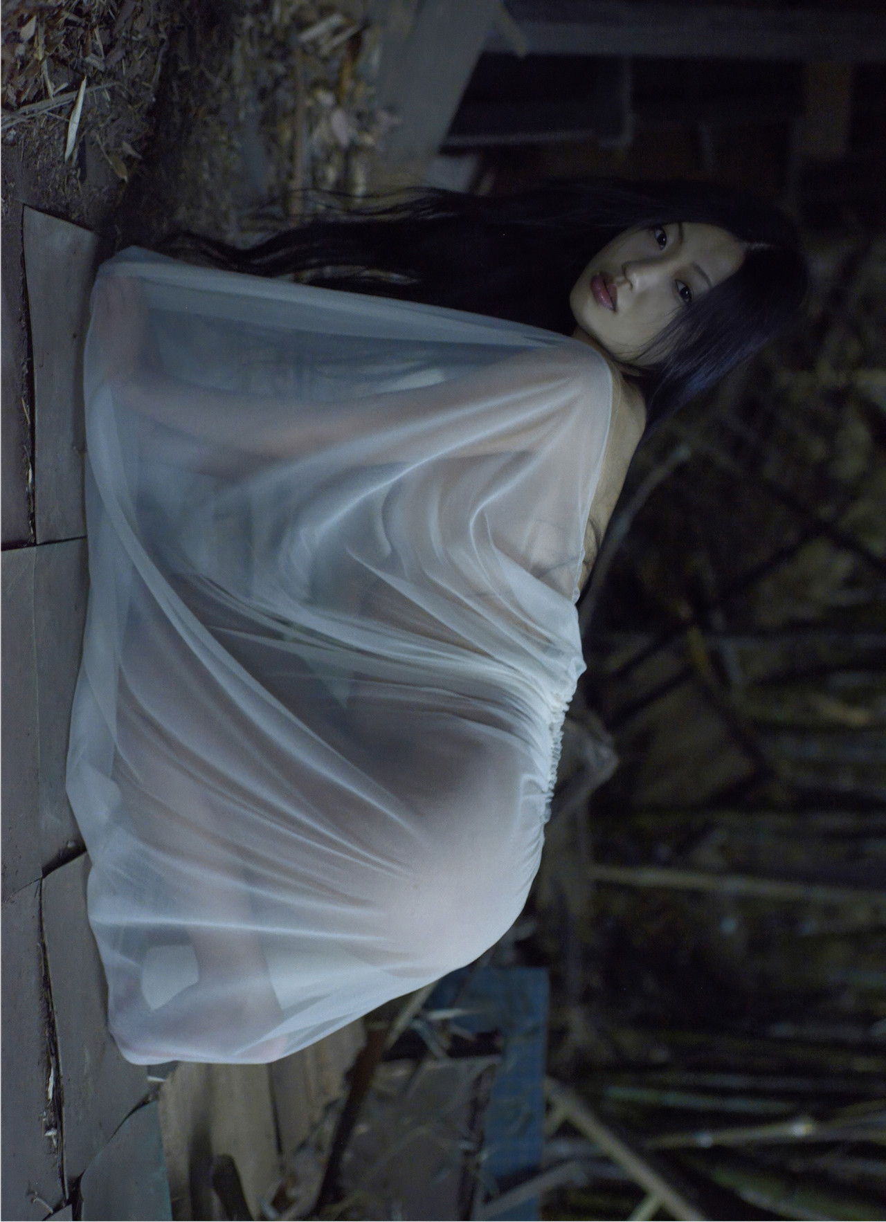 Mitsu Dan 壇蜜, デジタル写真集 蔵のなかの・・・ Premium Archive