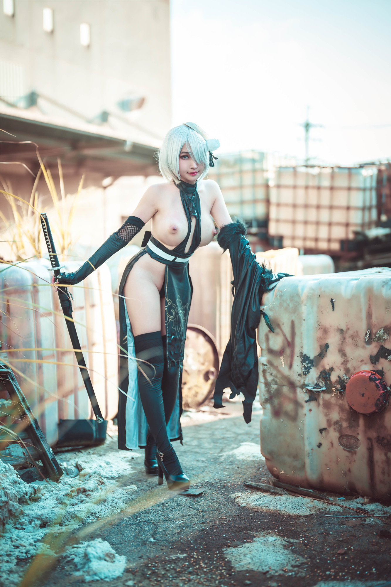 慕慕Momo, ヌード写真集 寄叶二号B型 (2B)