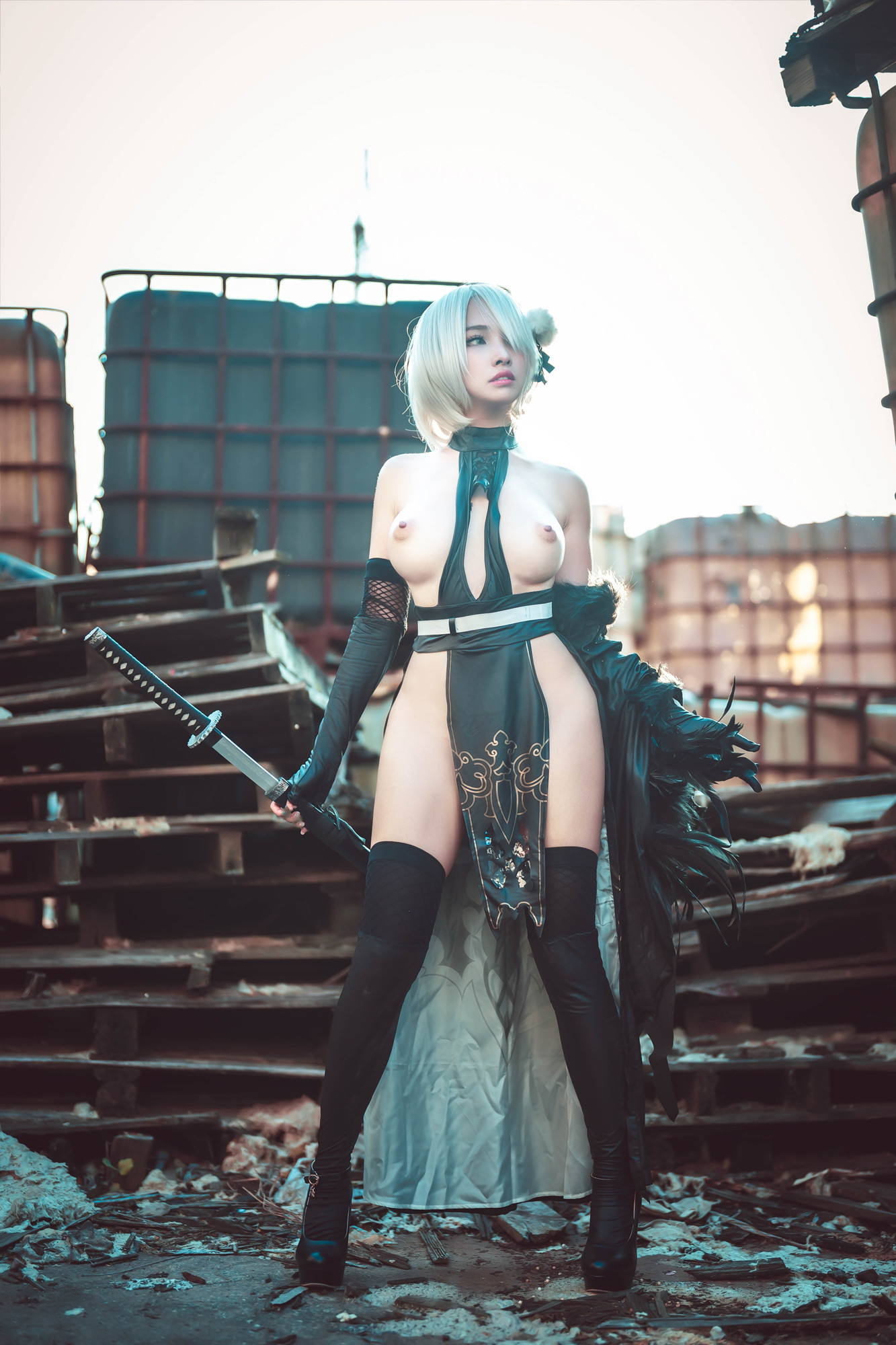 慕慕Momo, ヌード写真集 寄叶二号B型 (2B)