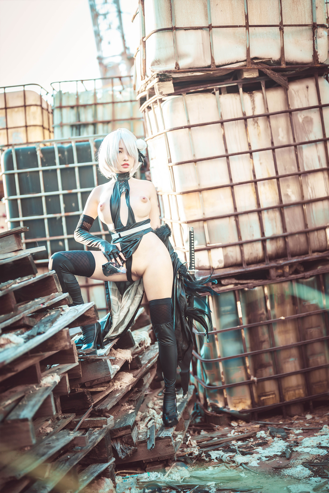 慕慕Momo, ヌード写真集 寄叶二号B型 (2B)