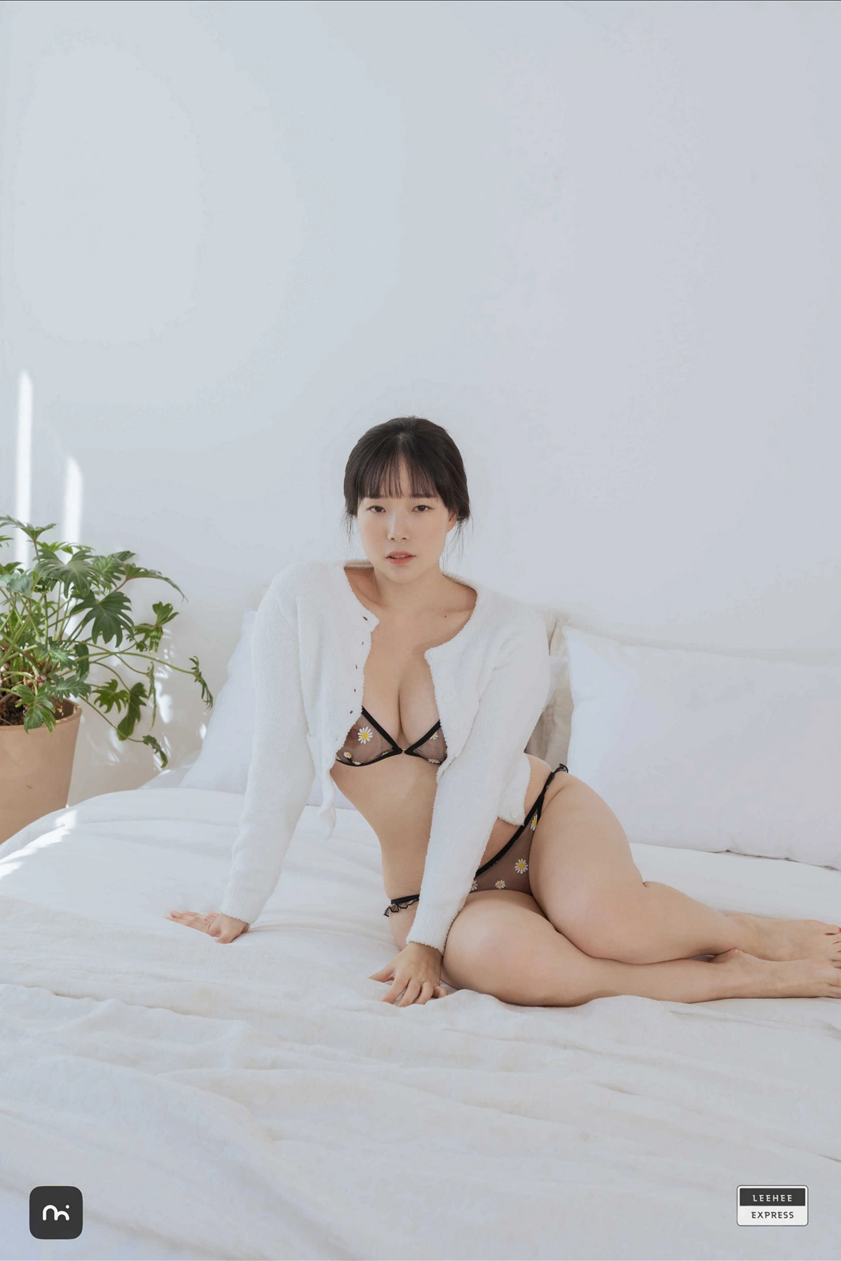 PIA 피아 Sir.Bean, LEEHEE EXPRESS LEHC-216A Set.01