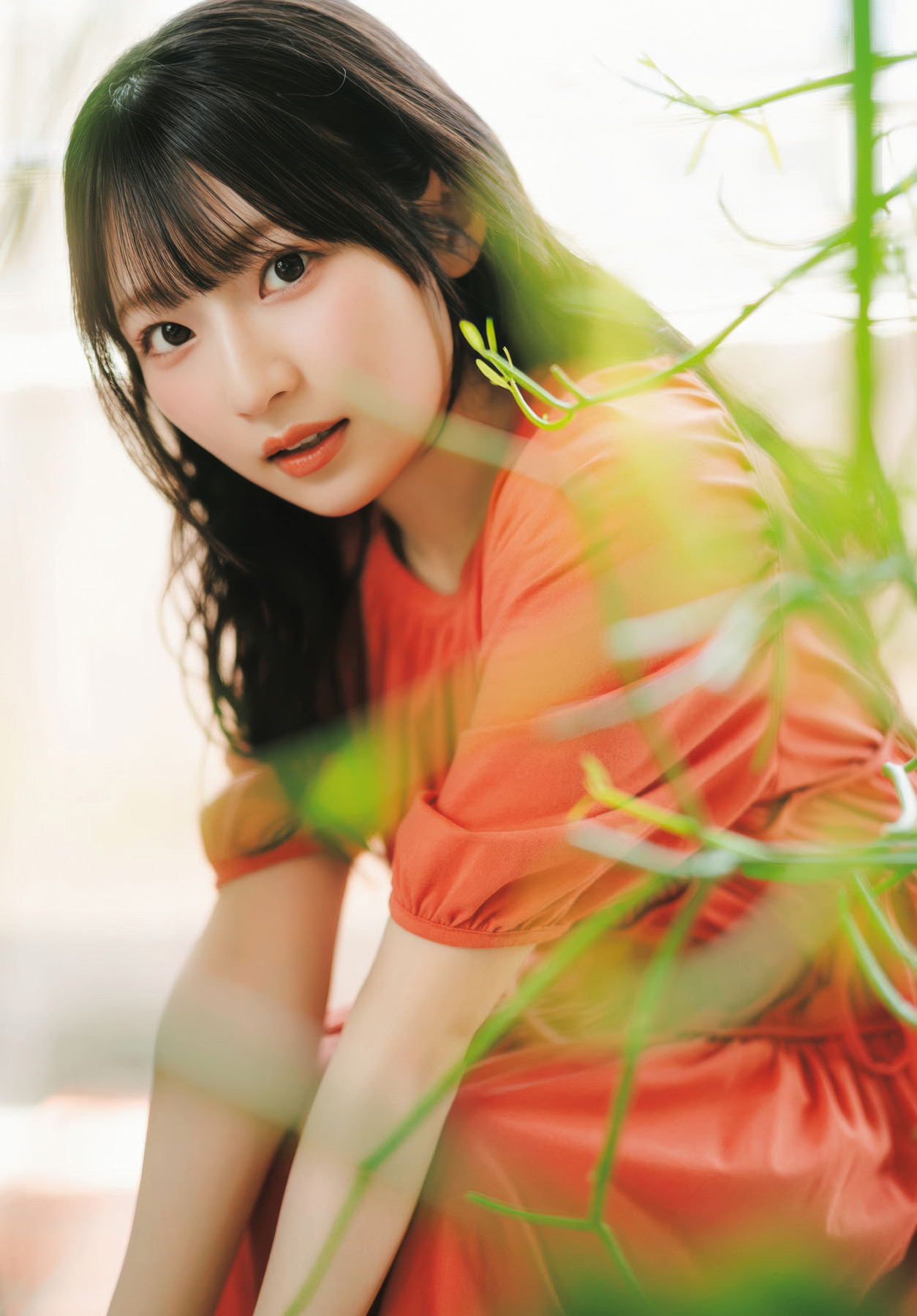 Hina Aoki 青木陽菜, Dragon Age ドラゴンエイジ 2025.09