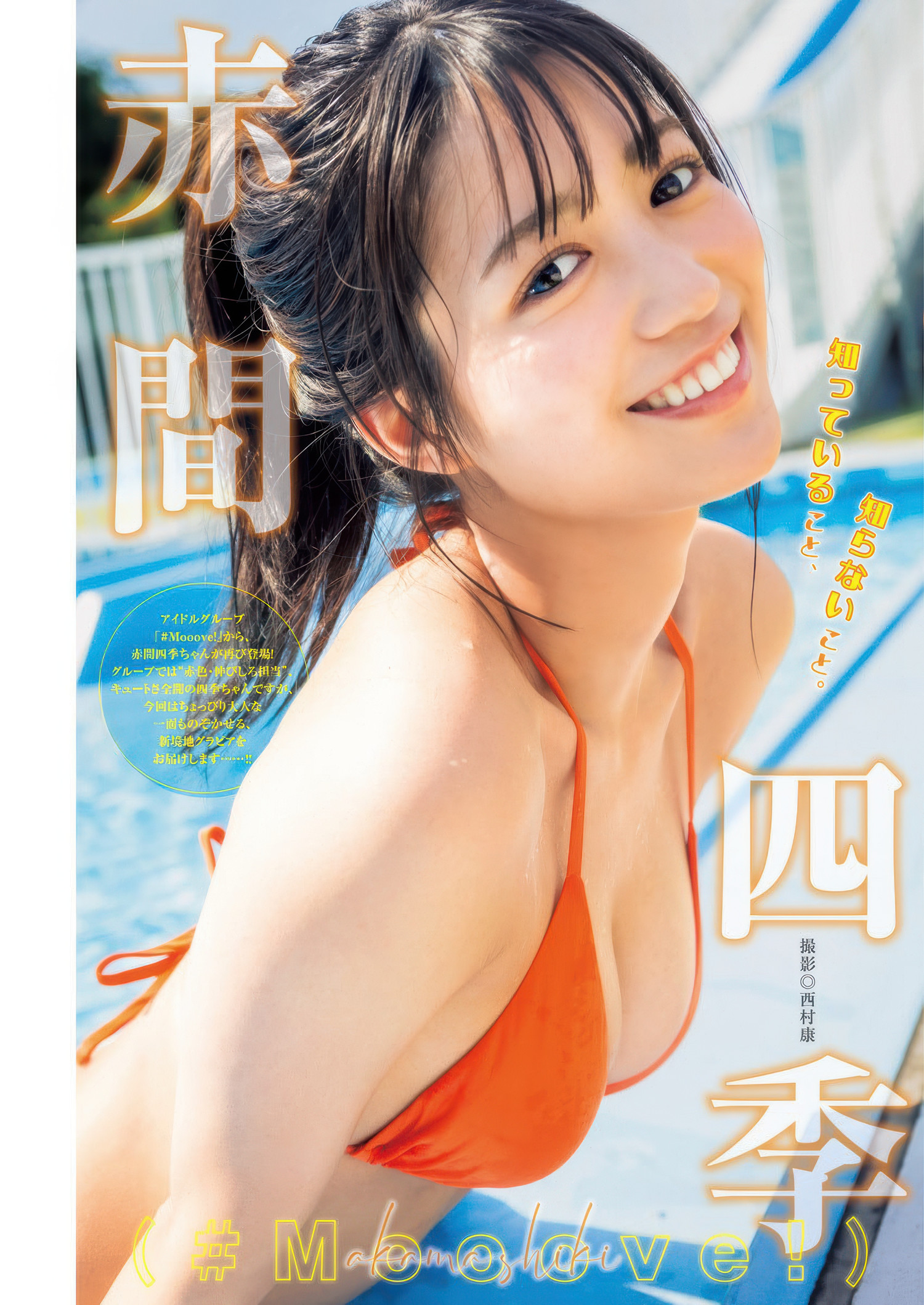 Shiki Akama 赤間四季, Hanna Sembokuya 仙北谷ハンナ, Young Jump 2025 No.40 (ヤングジャンプ 2025年40号)